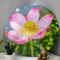 꾸밈데코_원형전면아크릴코팅액자_수려한연꽃(ie083)_라운드액자인테리어액자벽장식월데코벽걸이액자, 이미지1