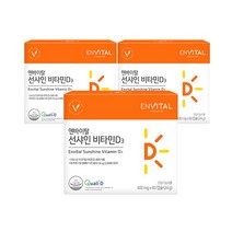 [엔바이탈] 선샤인 비타민D3 400mg X 60캡슐 * 3박스, 상세 설명 참조, 상세 설명 참조