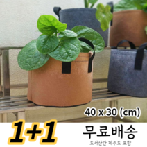 배란다 미니화분 대파키우기, 블랙, 브라운