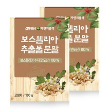 GNM자연의품격 보스웰리아 추출물 분말, 2개, 100g