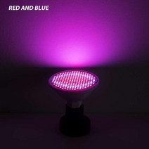 wenni 식물 램프 e14 스펙트럼 전구 gu10 48 60 식물 성장 LED 재배기, 빨간색과 파란색, e27 80leds 220v, 2년 보증