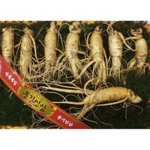 (선물세트) 풍기인삼 설명절 선물용 수삼선물세트 750g 정품 5년근 6년근 원수삼 구성, 1세트, 삼쟁이1호 세트 750그램(7-8뿌리)