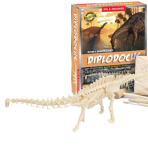 [오꿈] 공룡화석발굴 놀이 키트 뼈발굴 장난감, A 08 디플로도쿠스 D7143, 1