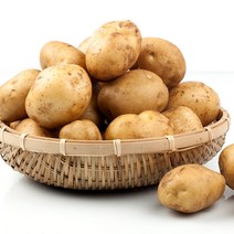 국내산 햇 감자 3kg 5kg, 1박스, 03_햇 감자(대) 3kg