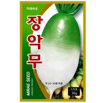장악무30g 김장무씨앗 가을무씨앗 무우씨앗 무씨앗, 장악무30gx5개