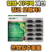혈행 개선 오메가3 오메가쓰리 중성지질 개선 눈건강 기억력 감퇴 은행잎추출물 징코 플라보놀배당체 은행 추출물 GINGKO 엔초비 멸치 EPA DHA 기억력좋아지는법 기억력에좋은