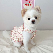 테디 공주 치마 강아지 여름 옷 애완 동물 과일 치마 Pomeranian 예쁜 심지어 구름 치마 멋진 개 옷 애완 동물 제품, S, Pink