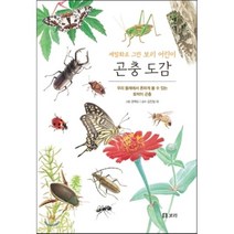 곤충 도감 : 세밀화로 그린 보리 어린이 도감 : 우리 둘레에서 흔하게 볼 수 있는 토박이 곤충, 권혁도 그림/김진일 외 감수