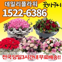 꽃바구니 꽃다발 생일 출산 전국꽃배달 프로포즈 결혼기념일 서울 강남 인천 대전 광주 울산 대구 부산 수원 용인 천안 청주 전주 포항 창원 성남 분당 부천, (선택36)빨강장미100송이