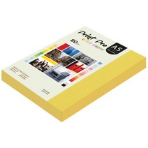 종이문화 프린트프로 칼라복사지 A5 80g No.06 딥옐로우 250매