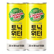 코카콜라 캐나다드라이 토닉워터 250ml 30캔, 상세페이지 참조, 상세페이지 참조