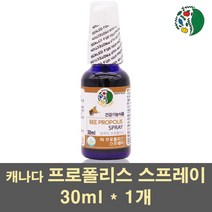 캐나다프로폴리스 프로폴리스 스프레이 리퀴드 원액 플라보노이드 비프로폴리스 항산화 항균 구강 입냄새 목 활력 어린이 키즈 가족 환절기, 1개, 30ml