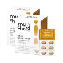 마이코드 밀크씨슬 & 비타민B 2개월분 간건강 비오틴, 01.마이코드 밀크씨슬 & 비타민B 30정(2개)