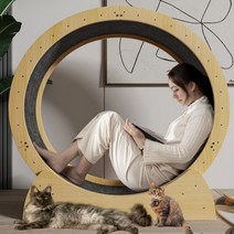 비와이몰 고양이 캣 휠 워커 트레드밀 스크래쳐 펫 롤링 장난감, M (직경 90cm 2.6~5kg이내), 1개
