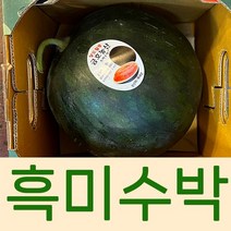 프리미엄 [당도선별] 고당도 흑미수박 흑수박 5kg 과일선물, 1개