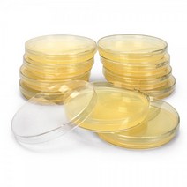 [NA]보통한천배지 90mm, 10개입