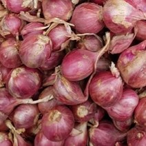 태국식품 태국양파 샬롯 미니양파 동남아양파 험뎅 1k worldfood