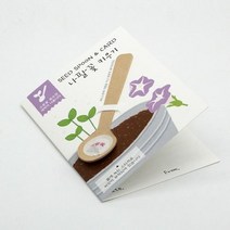 씨드스푼 나팔꽃(아이디어 씨앗심기), 6.패랭이꽃
