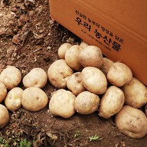 세상모든농부 포슬포슬 맛있는 감자 햇감자 수미감자 카스테라 홍감자, 10kg, 1개, 특(찜/요리용)