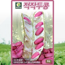 경신종묘 콩씨앗 적작두콩 5립
