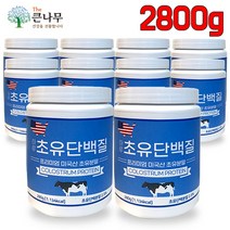 The큰나무 미국산 프리미엄 초유단백질 초유프로틴 초유 결정체 분말 가루 뼈엔 엠비피 mbp 가루 락토페린, 10통, 280g