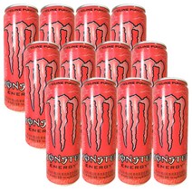 코카콜라 몬스터에너지 파이프라인펀치, 355ml, 12캔