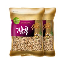 현대농산 렌틸콩 귀리혼합 20곡 10kg (5kgx2봉), 2개