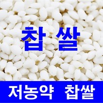 저농약/찹쌀5kg//10kg 강화섬쌀 당일도정 따끈따끈햅쌀출시!!, 22년저농약/찹쌀5kg, 1