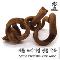 세틀 프리미엄 덩쿨 유목 [약15~20cm]