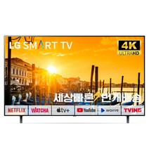 LG OLED 65인치(165cm)A1 스마트TV 4K UHD 미사용리퍼 (설치비포함), 03_수도권벽걸이_OLED65A1