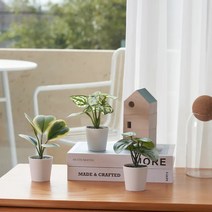 이케아 페이카 베고니아 인조식물 조화 실내외겸용 6cm 205.596.43, 1개