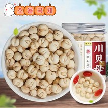 사천 야생 천패모 초특급 패모 50g, 5병
