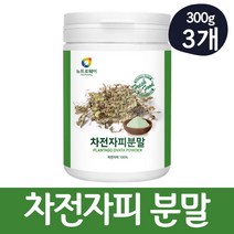 oki 차전자피 가루 고운 분말 입자 베이킹 차전자 식이섬유, 3통, 250g