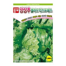 양상추 씨앗 샐러드익스프레스 1500립 상추 양상추 야채 채소 씨 종자 아시아종묘