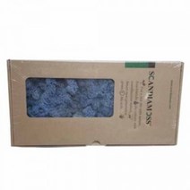 천연이끼 스칸디아모스 라벤더블루(500g) - 공기정화 기능 관리쉽고 그늘에서도 잘 자라는 인테리어 식물 취미 원데이 클래스 디퓨저 화분 만들기(2개 이상 주문배송)