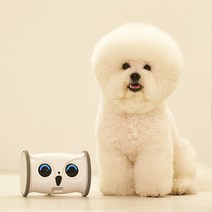 [펫케어] 춤추는너구리 강아지용 움직이는 로봇 노즈워크 자동 강아지 장난감, 단품