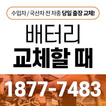 무료배송/싼타페 TM/배터리 커버/보온커버/방전/밧데리/자동차커버, 1.일반형:60