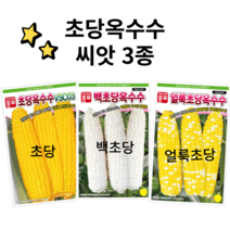 초당옥수수 씨앗 백초당옥수수 종자 얼룩초당옥수수 씨앗, 4.초당옥수수3종세트, 1개