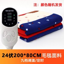 차박 전기담요 입는온열 캠핑용전기장판 극세사 캠핑 자동차 전기요 매트, T.24V -200cmX80cm 9단 스위치