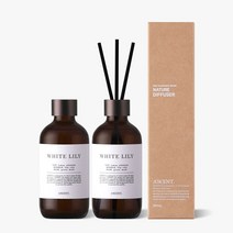 1+1 에이센트 네이처 디퓨저 실내방향제 200ml 2개 세트, 06 화이트릴리*2