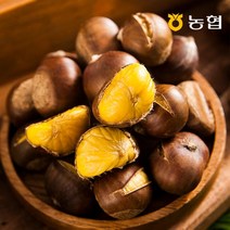 자연맛남 [자연맛남] 농협선별 부여 알밤 2kg 대 (1kgx2망), 01.알밤 2kg 대 (1kgx2망)