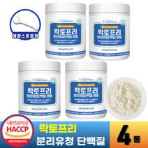 분리유청단백질 WPI 식약청인증 락토프리 유당 분리 제거 유당불내증 고함량 단백질 보충제 여성 남성 근육 프로틴 파우더 쉐이크 (+사은품 증정), 240g, 4개