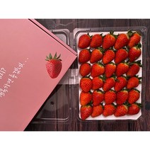 무농약 GAP 설향 논산 제철 생 딸기 1kg 대왕 왕, 특(30구 / 27~34g), 1상자
