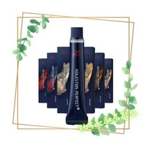 [신형] 웰라 콜레스톤 퍼펙트 염색약 80g(산화제별도), 7/47