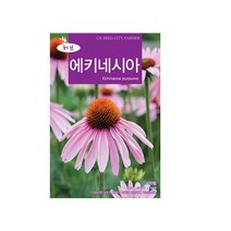 에키네시아 100립 허브씨앗 정원가꾸기 꽃밭만들기 종자, 1개