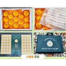 제주 카라향 선물용 5kg 15-30과 만감류 제철과일 제주과일 (선물가방포함)