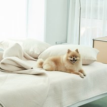 반려동물 알러지케어 나란히 스프레드, 오트밀