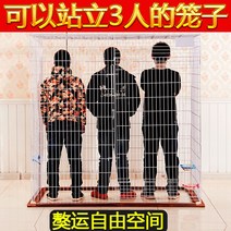 대형 강아지호텔 정원 여유 고양이 사육 개케이지 고양이빌라 고급 개 고양이집, 너비 180×높이 150, 길이 330 (문이 있음)