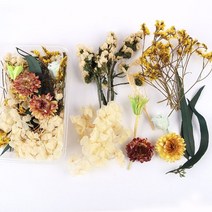 프리저브드플라워 프리저보드플라워박스 디퓨저 돔 미니 재료 자연 말린 꽃 상자 diy 꽃, 열하나