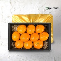 이과일이다 [이푸른] 블랙라벨 레드향 선물세트 3kg(8~10)